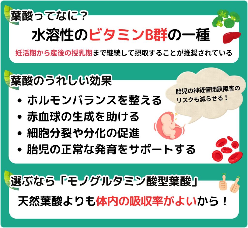 葉酸サプリの基礎知識