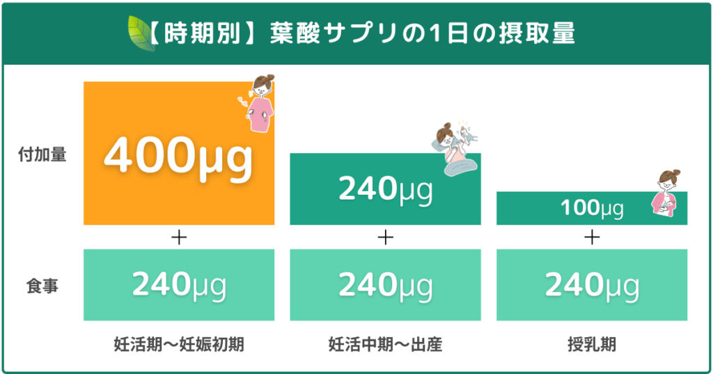 葉酸サプリの1日の摂取量の解説