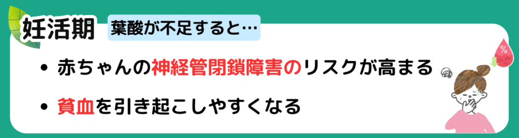 妊活期に葉酸が不足してくれると？の解説